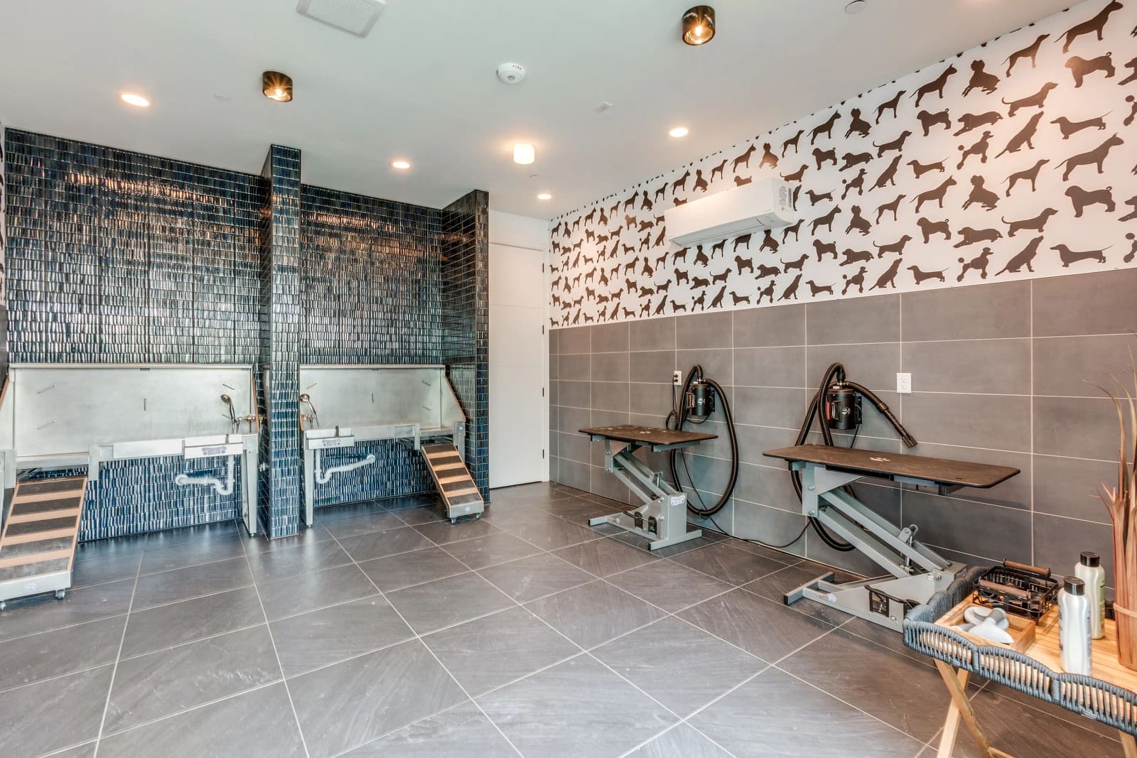 1–2 Bedroom Options · Option 9 photo 6 in East Austin
